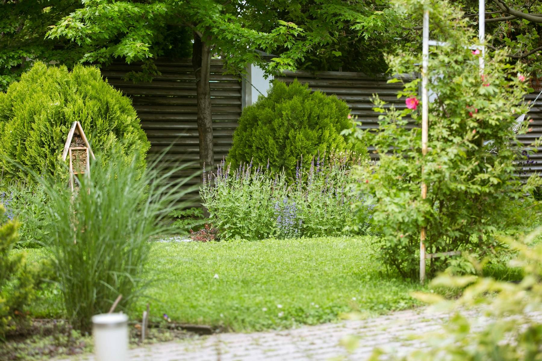 Garden with layered planting, shrubs and a stone path